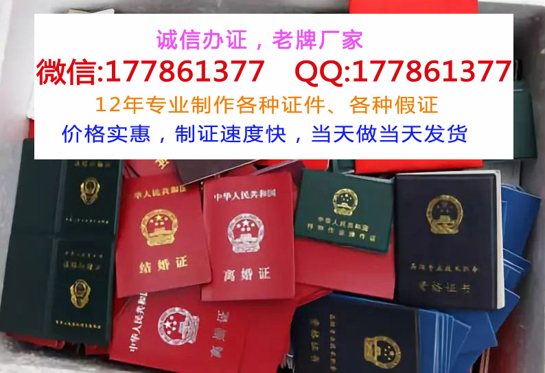 那里能办假的港澳通行证